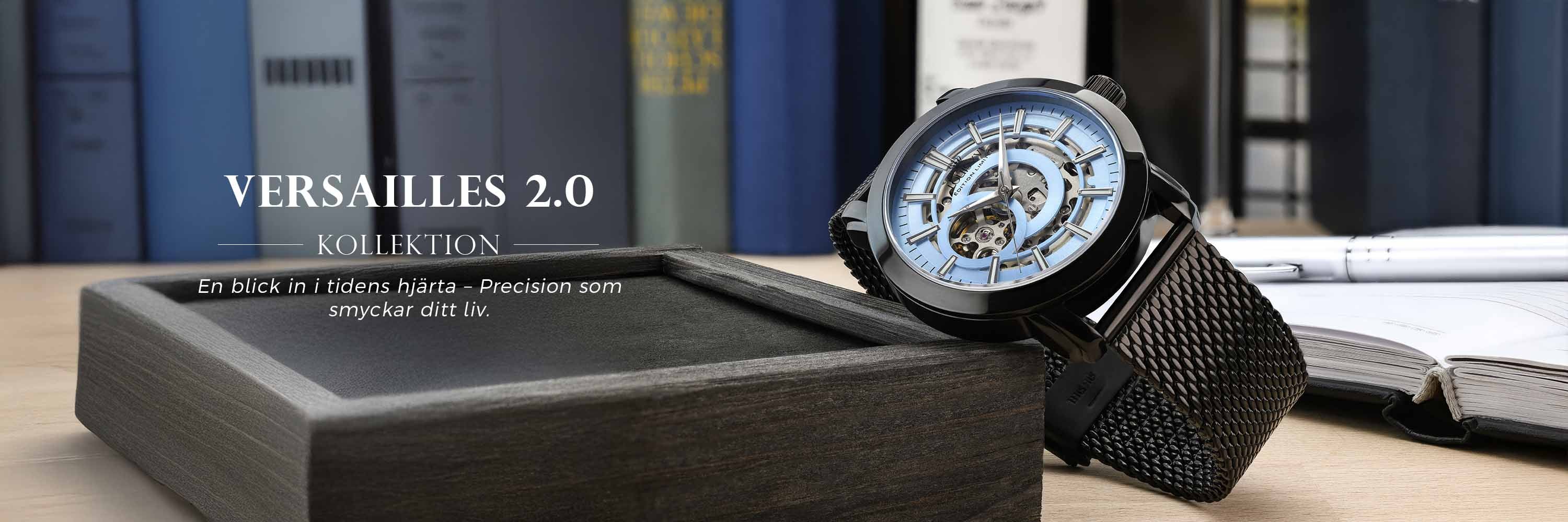 Versailles-2-LOUIS XVI